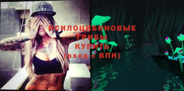 не бодяженный Абаза