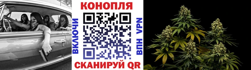 цена наркотик  Фокино  Канабис конопля 